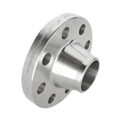 SS 304 Weld Neck Flange
